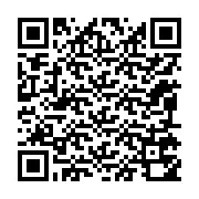 QR-code voor telefoonnummer +12095750885