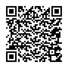 Codice QR per il numero di telefono +12095750887