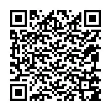 QR-koodi puhelinnumerolle +12095785201