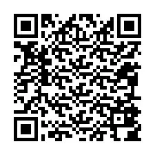 Código QR para número de telefone +12095804983