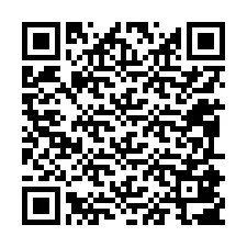 QR Code pour le numéro de téléphone +12095807173