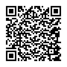 QR-koodi puhelinnumerolle +12095807293