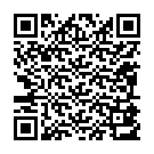 QR-code voor telefoonnummer +12095813036