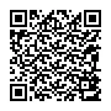 QR-код для номера телефона +12095813620