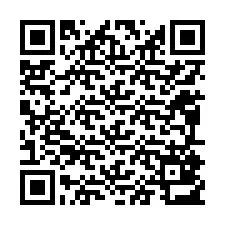 QR-code voor telefoonnummer +12095813622