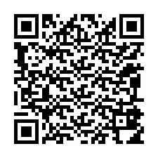 QR-код для номера телефона +12095814824