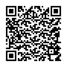 QR-code voor telefoonnummer +12095818698