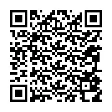 Código QR para número de telefone +12095818703