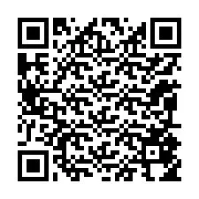 QR-code voor telefoonnummer +12095854795