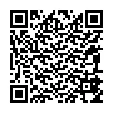 Código QR para número de telefone +12095854800