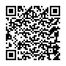 QR код за телефонен номер +12095854801