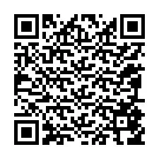 Código QR para número de telefone +12095856788