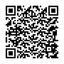 QR код за телефонен номер +12095857864