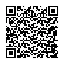 QR kód a telefonszámhoz +12095857865