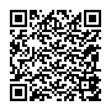 Codice QR per il numero di telefono +12095857871