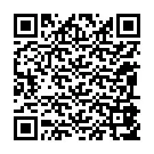 QR-код для номера телефона +12095857874