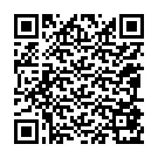 QR код за телефонен номер +12095871328