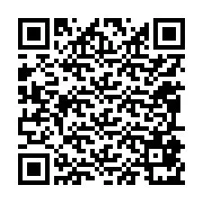 QR-koodi puhelinnumerolle +12095871566