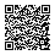 QR-код для номера телефона +12095872450