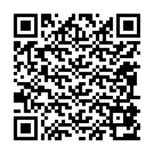 QR kód a telefonszámhoz +12095872476