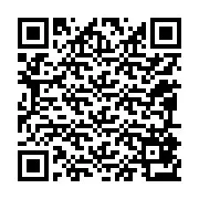 QR-Code für Telefonnummer +12095873628