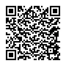 Código QR para número de telefone +12095875369