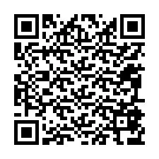 QR kód a telefonszámhoz +12095876913