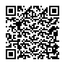 Código QR para número de telefone +12095877065