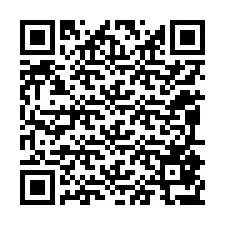 Codice QR per il numero di telefono +12095877764