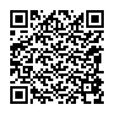 QR-koodi puhelinnumerolle +12095878264