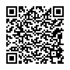 Código QR para número de telefone +12095878265