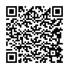 QR Code สำหรับหมายเลขโทรศัพท์ +12095878622