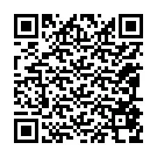 Código QR para número de telefone +12095878739