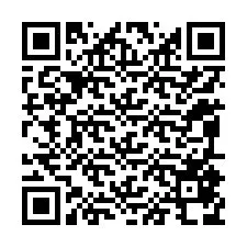 QR Code สำหรับหมายเลขโทรศัพท์ +12095878740