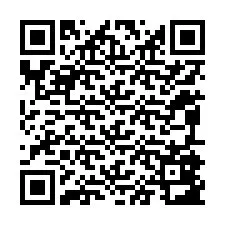 QR-code voor telefoonnummer +12095883900