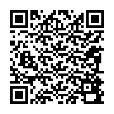 Código QR para número de teléfono +12095890693