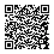QR Code for Phone number +12095894132