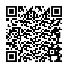 QR-код для номера телефона +12095894132