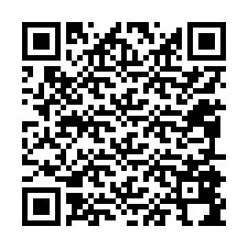 QR-Code für Telefonnummer +12095894983