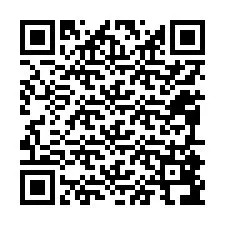 Codice QR per il numero di telefono +12095896213