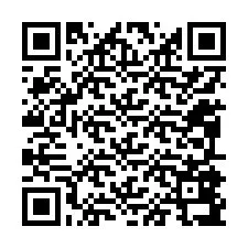 QR-код для номера телефона +12095897933