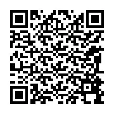 QR-код для номера телефона +12095898664