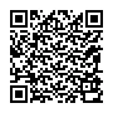 QR-code voor telefoonnummer +12095930311