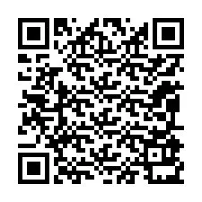 QR-code voor telefoonnummer +12095931335