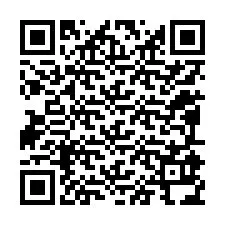 QR-код для номера телефона +12095934128