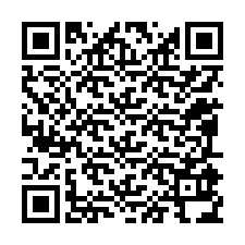 Kode QR untuk nomor Telepon +12095934168