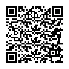 QR код за телефонен номер +12095934207