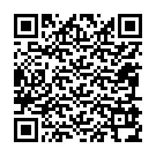 QR код за телефонен номер +12095934487