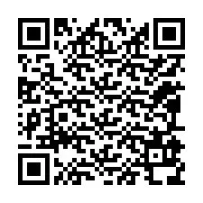 Código QR para número de teléfono +12095938529