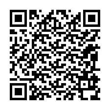 QR-code voor telefoonnummer +12095938575